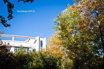 IMG_9155