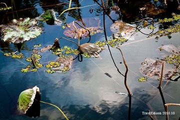 IMG_9329