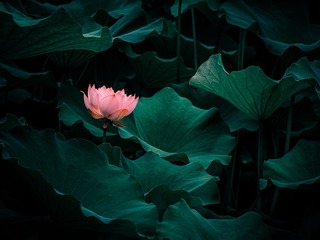 001