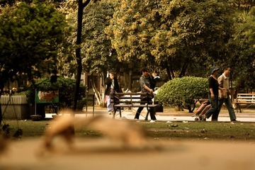 IMG_7774.JPG