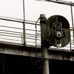 IMG_7853.JPG