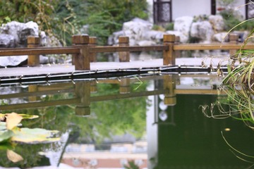 _MG_7537.JPG