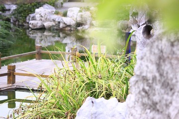 _MG_7544.JPG