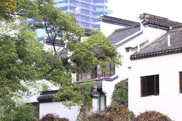 _MG_7563.JPG
