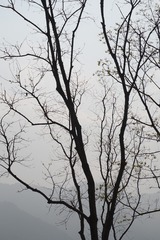 1000289695
