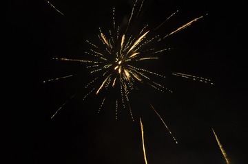 3261256