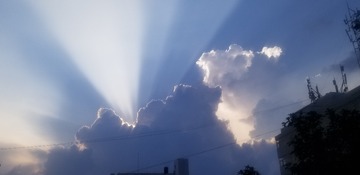 162856