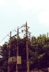 20130608_115735.jpg