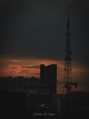 1000074004