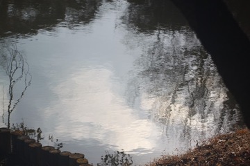 1000073356