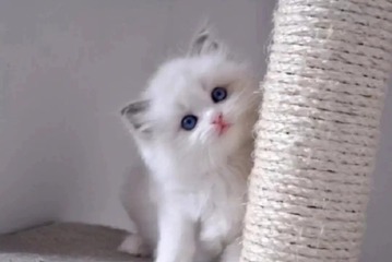 653