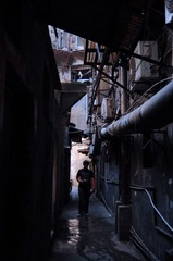 DSC_0303.jpg