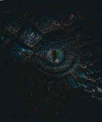 1000129327