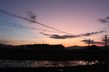 273810