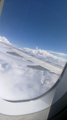 3810684