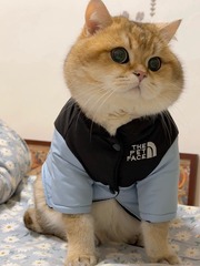 001