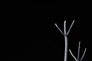 20131103-DSC_2601