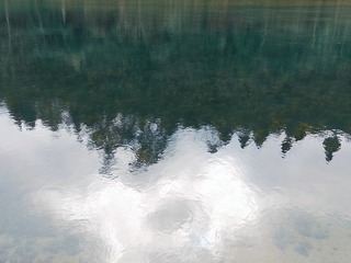 1000053551