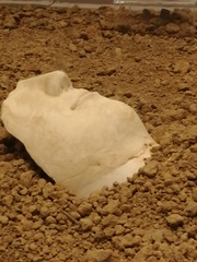 3099747