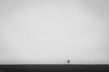 顶 (5).jpg