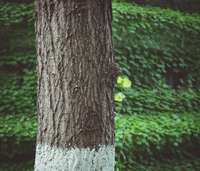 IMGP6766-编辑.jpg