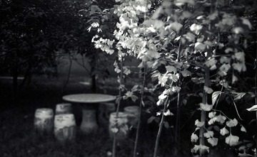 全景图026