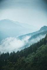 1000039839