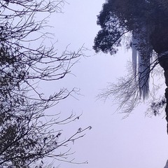 1000016738