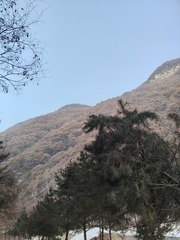1000016816