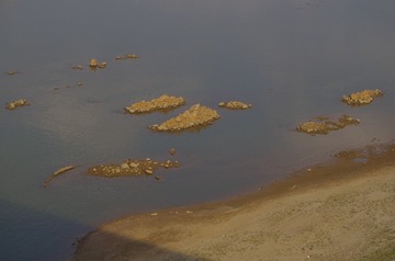 1000036322