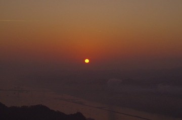 1000036264