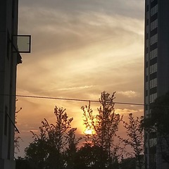 2220770