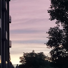2309015