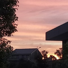 2309016