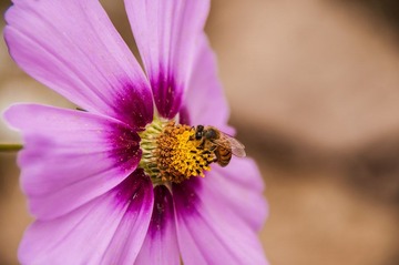 _DSC0707.jpg