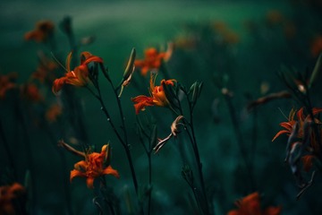 1000010146