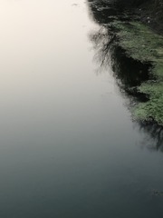 2350887