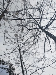 785384