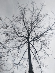 785383