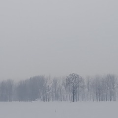 3124880