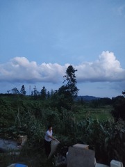 1000065552