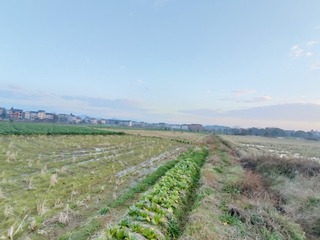 1000046842