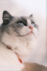 29809