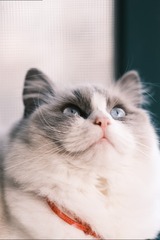 29806