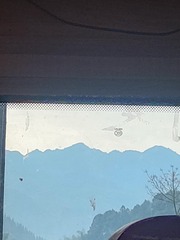 1000083124