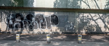 1000095031