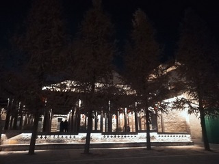 2212631