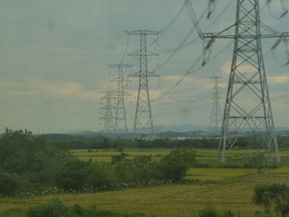 1000133274