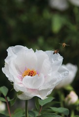 IMG_7005.JPG
