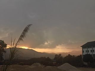 1000010383